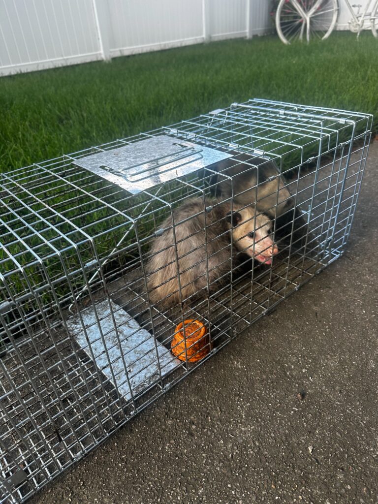 Pestway Mosquito Control LLC